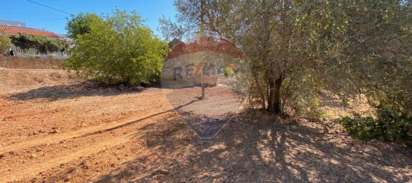 3 Schlafzimmer Haus in Quelfes, Portugal, Nr. 30810 2
