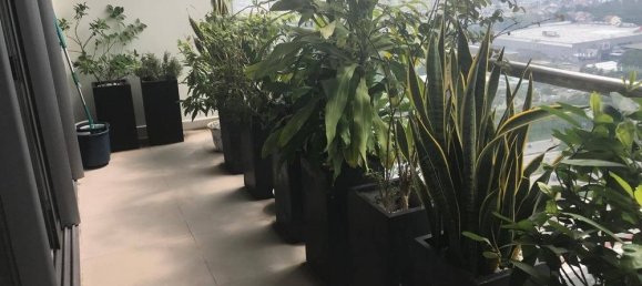 4 bedrooms Apartment in Thu Duc, Vietnam No. 18247 9