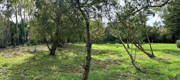 7-salle Maison à Ploemeur, France No. 272357 4