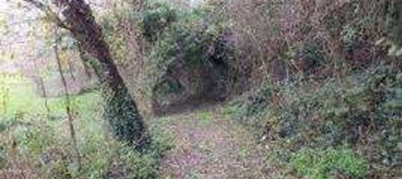 Дом с 5 комнатами в Печчоли, Италия № 280359 3