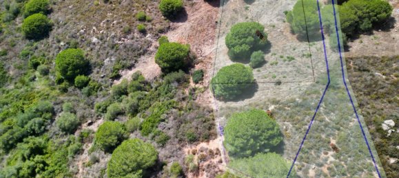  قطعة أرض في Cadiz, Spain رقم 148316 10