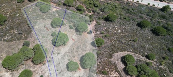  قطعة أرض في Cadiz, Spain رقم 148316 9