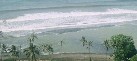 Grundstück in Tabanan, Indonesia 313m², Nr. 4444 4