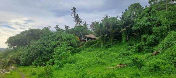 Grundstück in Tabanan, Indonesia 313m², Nr. 4444 18