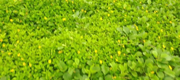 Grundstück in Tabanan, Indonesia 313m², Nr. 4444 12