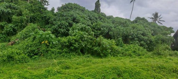 Grundstück in Tabanan, Indonesia 313m², Nr. 4444 19