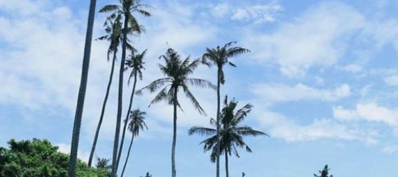 Grundstück in Tabanan, Indonesia 313m², Nr. 4444 6