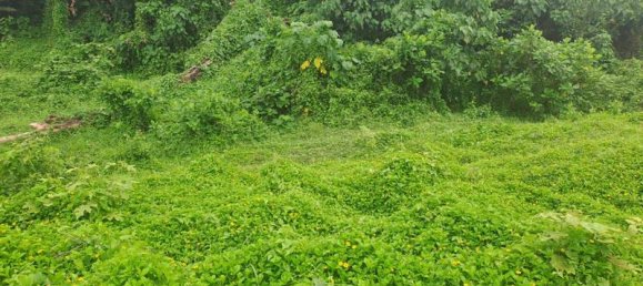 Grundstück in Tabanan, Indonesia 313m², Nr. 4444 13