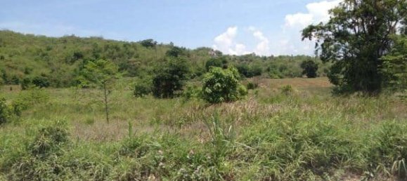  Commercial property in Hua Hin, Thailand No. 6833 15