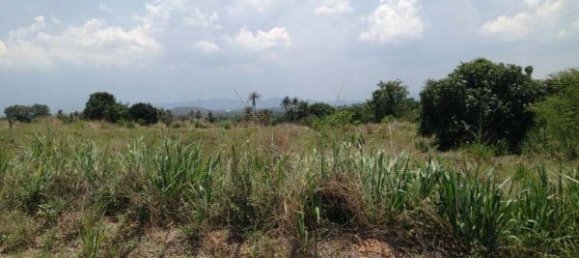  Commercial property in Hua Hin, Thailand No. 6833 14