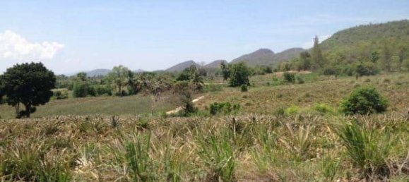  Commercial property in Hua Hin, Thailand No. 6833 4