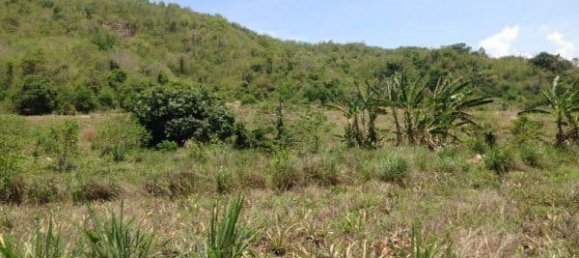  Commercial property in Hua Hin, Thailand No. 6833 5