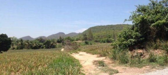  Commercial property in Hua Hin, Thailand No. 6833 8