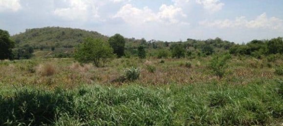  Commercial property in Hua Hin, Thailand No. 6833 13