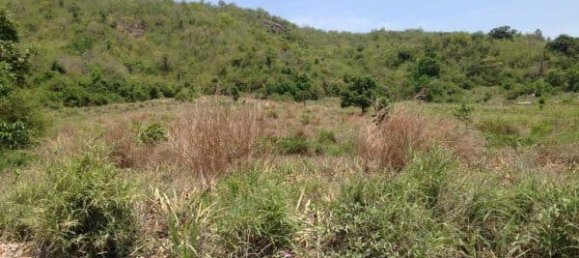  Commercial property in Hua Hin, Thailand No. 6833 7