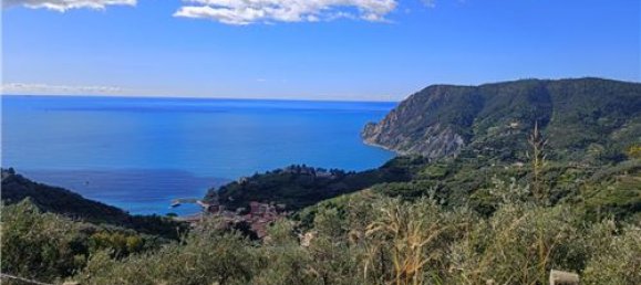 Terrain à Monterosso al Mare, Italy 3500m² No. 308514 8