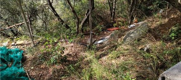 Terrain à Monterosso al Mare, Italy 3500m² No. 308514 15