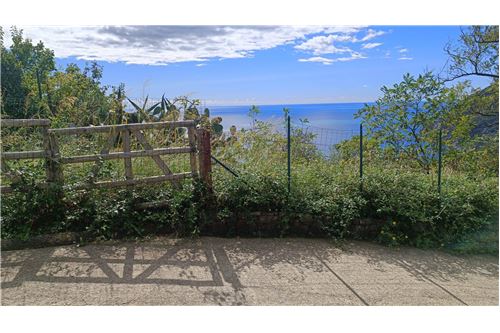 Terrain à Monterosso al Mare, Italy 3500m² No. 308514