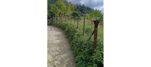 Terrain à Monterosso al Mare, Italy 3500m² No. 308514 4