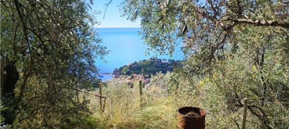 Terrain à Monterosso al Mare, Italy 3500m² No. 308514 12