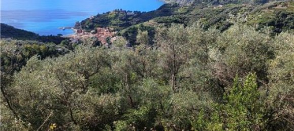 Terrain à Monterosso al Mare, Italy 3500m² No. 308514 9