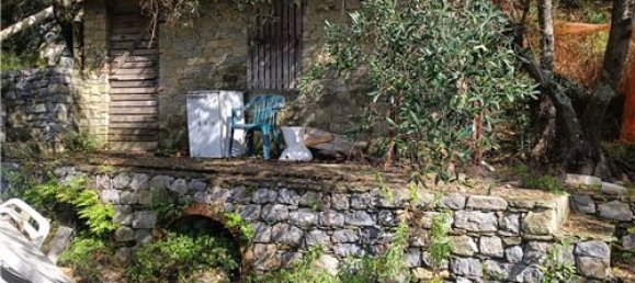 Terrain à Monterosso al Mare, Italy 3500m² No. 308514 17