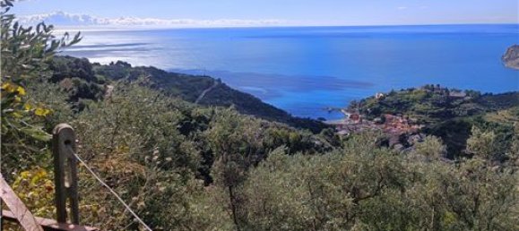 Terrain à Monterosso al Mare, Italy 3500m² No. 308514 13