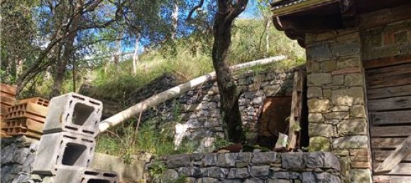 Terrain à Monterosso al Mare, Italy 3500m² No. 308514 3