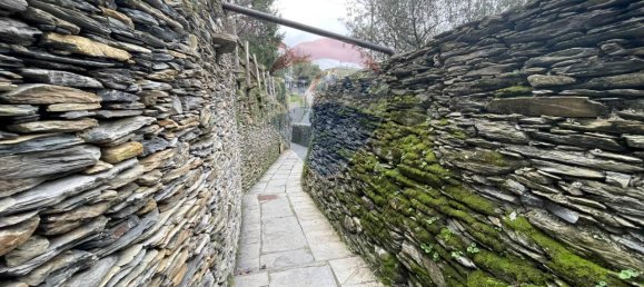 5 rooms House in Cogorno, Italy No. 30972 30