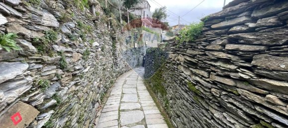 5 rooms House in Cogorno, Italy No. 30972 32