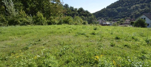 Земельный участок в Зенфтенберг, Австрия № 242919 2