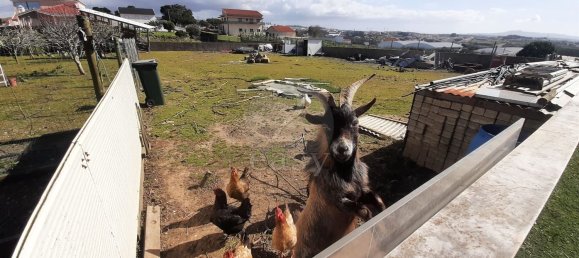 4 bedrooms House in Ericeira, Portugal No. 129873 10