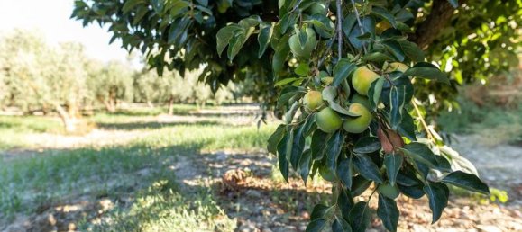Terrain à Granada, Spain 20000m² No. 175386 20
