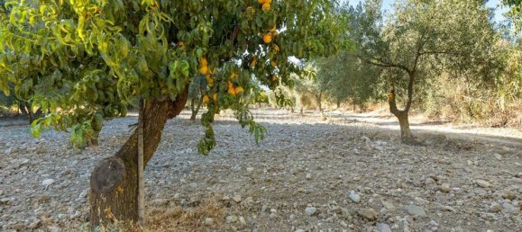 Terrain à Granada, Spain 20000m² No. 175386 3