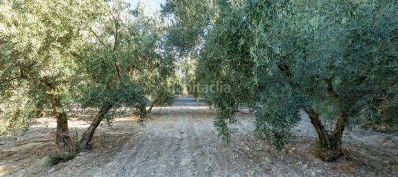 Terrain à Granada, Spain 20000m² No. 175386 19