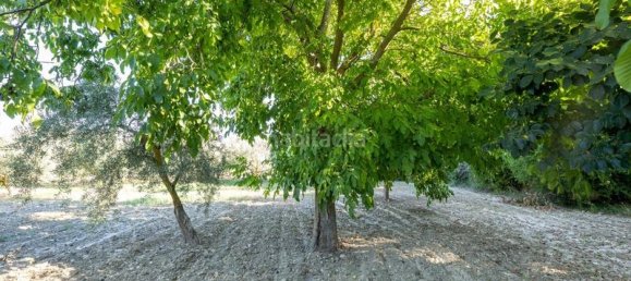 Terrain à Granada, Spain 20000m² No. 175386 23