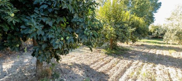 Terrain à Granada, Spain 20000m² No. 175386 22