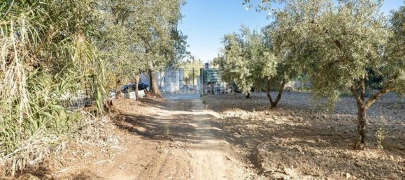 Terrain à Granada, Spain 20000m² No. 175386 11