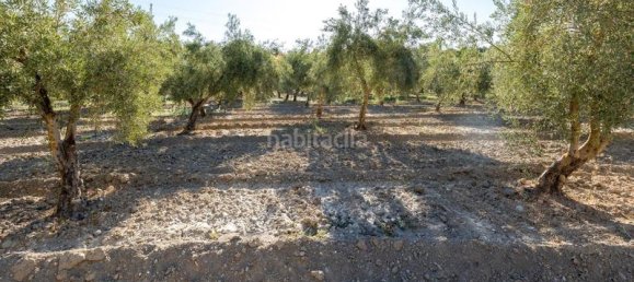 Terrain à Granada, Spain 20000m² No. 175386 12