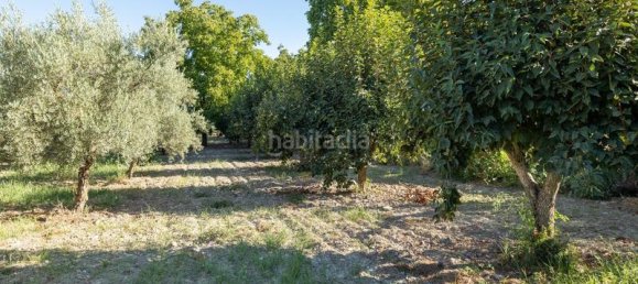 Terrain à Granada, Spain 20000m² No. 175386 21