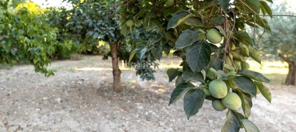 Terrain à Granada, Spain 20000m² No. 175386 27