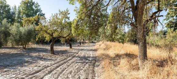 Terrain à Granada, Spain 20000m² No. 175386 17