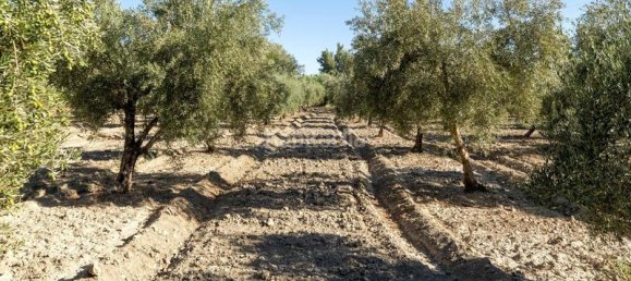 Terrain à Granada, Spain 20000m² No. 175386 28