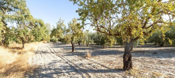 Terrain à Granada, Spain 20000m² No. 175386 18