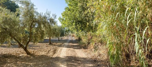 Terrain à Granada, Spain 20000m² No. 175386 10
