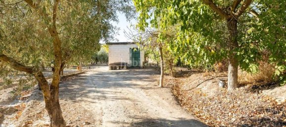 Terrain à Granada, Spain 20000m² No. 175386 14