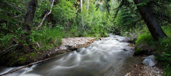 Коммерческая недвижимость с 4 спальнями в Бивер Крик, США № 286 11