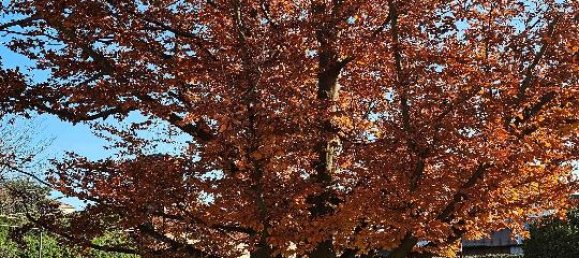 5-salle Villa à Pinerolo, Italy No. 41338 6