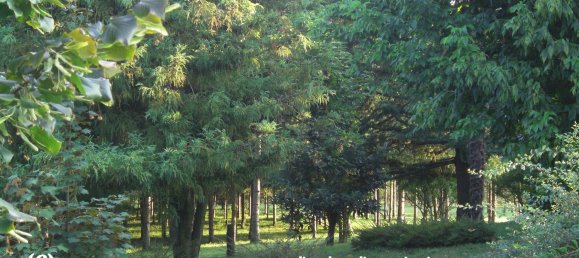 Villa T6 em Soiano del Lago, Italy N.º 365374 7