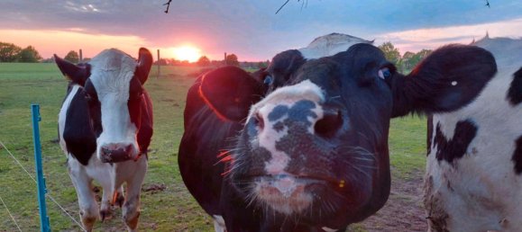 13-salle Maison à Ludwigslust-Parchim, Germany No. 219119 5